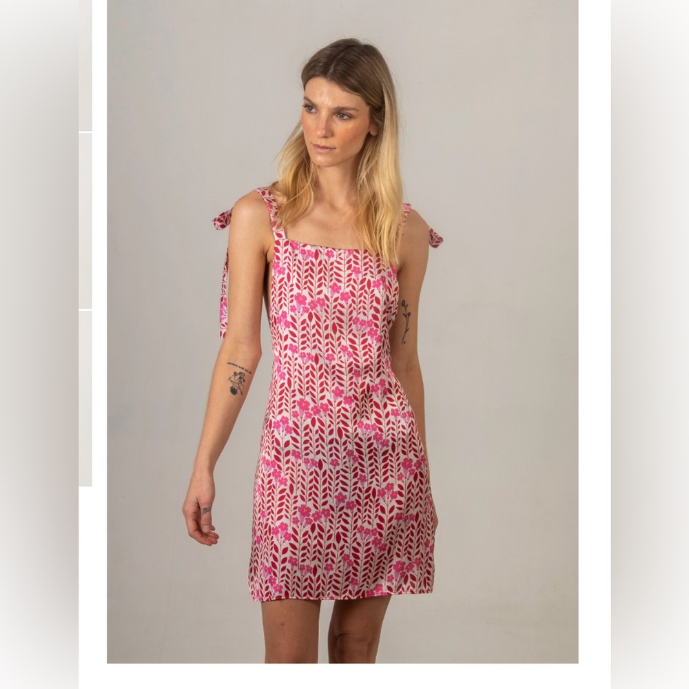 Lobo Rosa arara dress